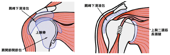 原因と病態